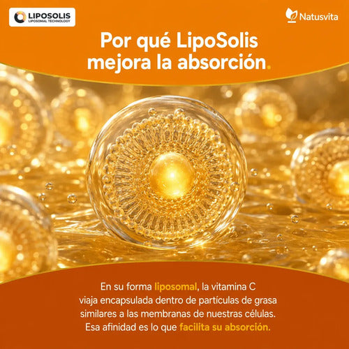 Vitamina C + Zinc Liposomal