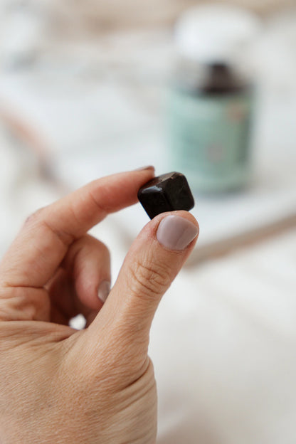 Reishi Gummies
