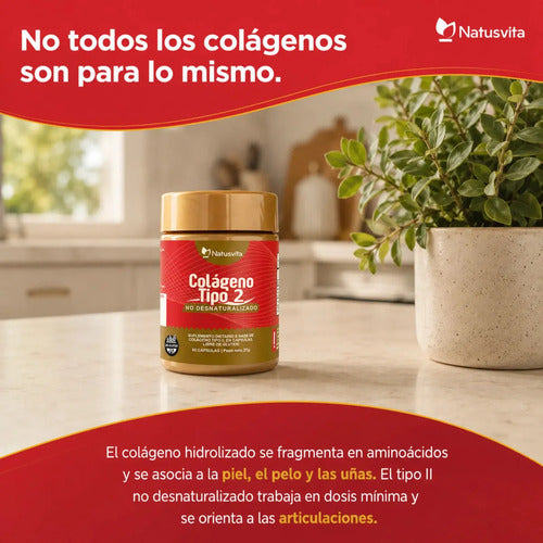 Colágeno Tipo 2
