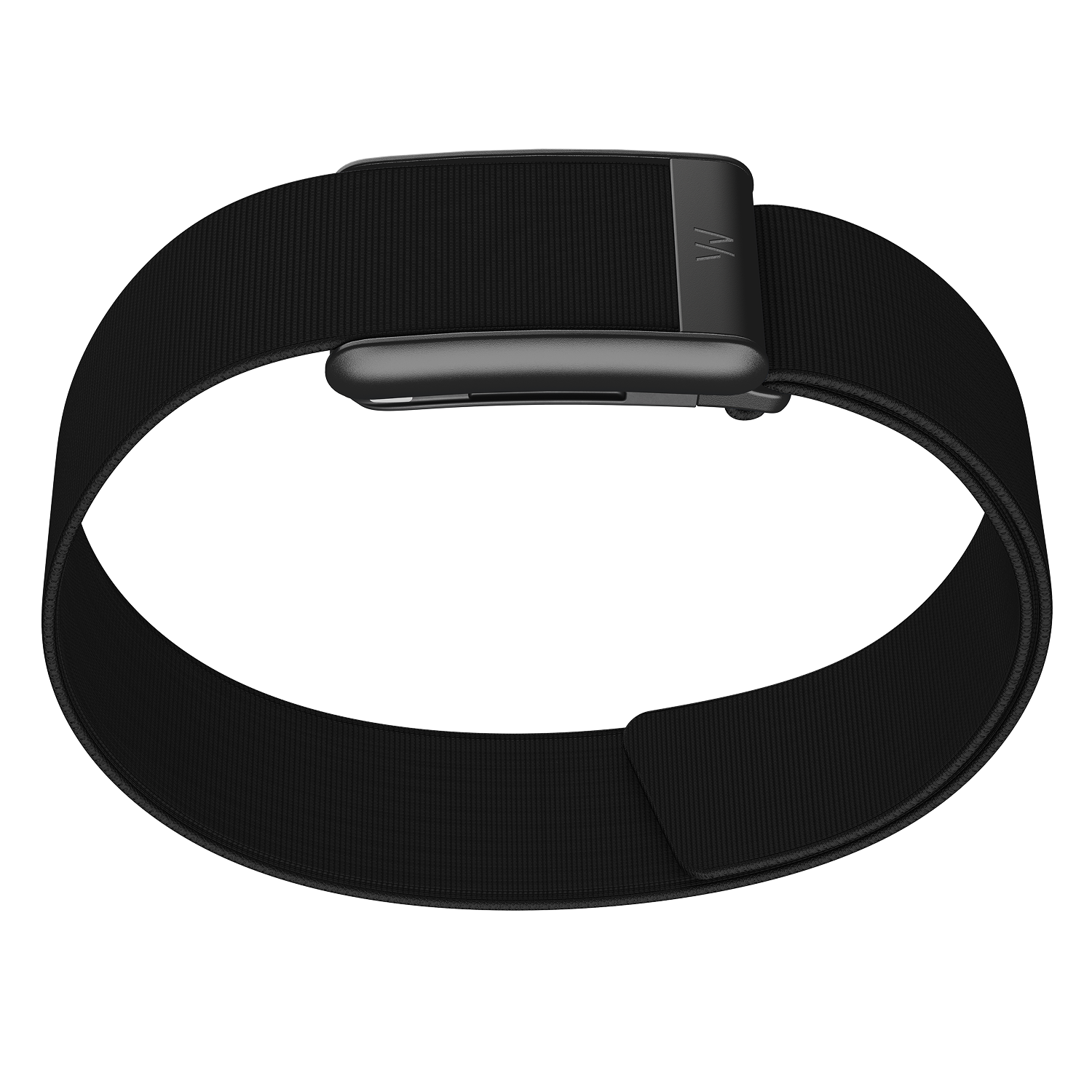 Bicep Band 5.0