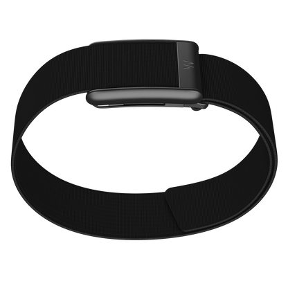 Bicep Band 5.0