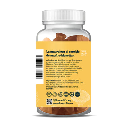 Melena de León Gummies