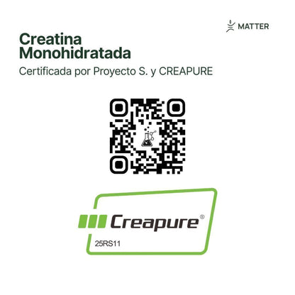 Creatine Creapure® Sticks x 30