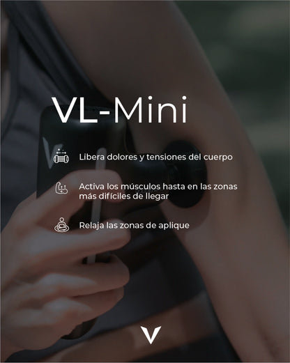VL-MINI